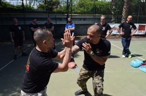 stage-kravmaga-aikm (77)